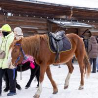Миниатюра альбома