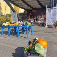 Миниатюра альбома