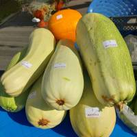 Миниатюра альбома