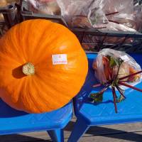 Миниатюра альбома