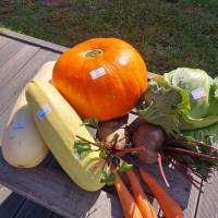 Миниатюра альбома