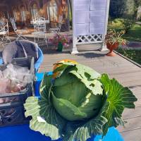 Миниатюра альбома