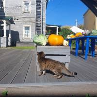 Миниатюра альбома