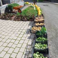 Миниатюра альбома