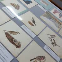 Миниатюра альбома