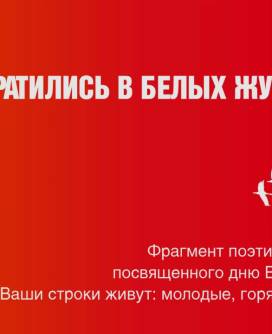 »Ваши строки живут: молодые, горячие, цельные!..». В преддверии празднования 80-летия Дня Победы в Великой Отечественной войне